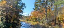 Otter Brook in the fall
