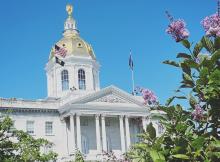 NH State House in spring