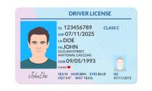 Sample drivers license